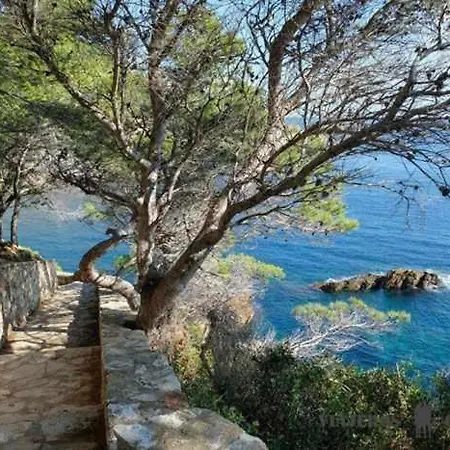 Casa suro ático Palafrugell